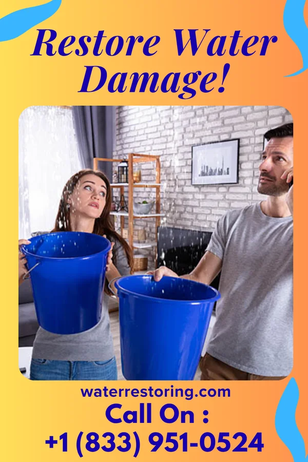 water restoration Ideal Drying Brothers Claycomo