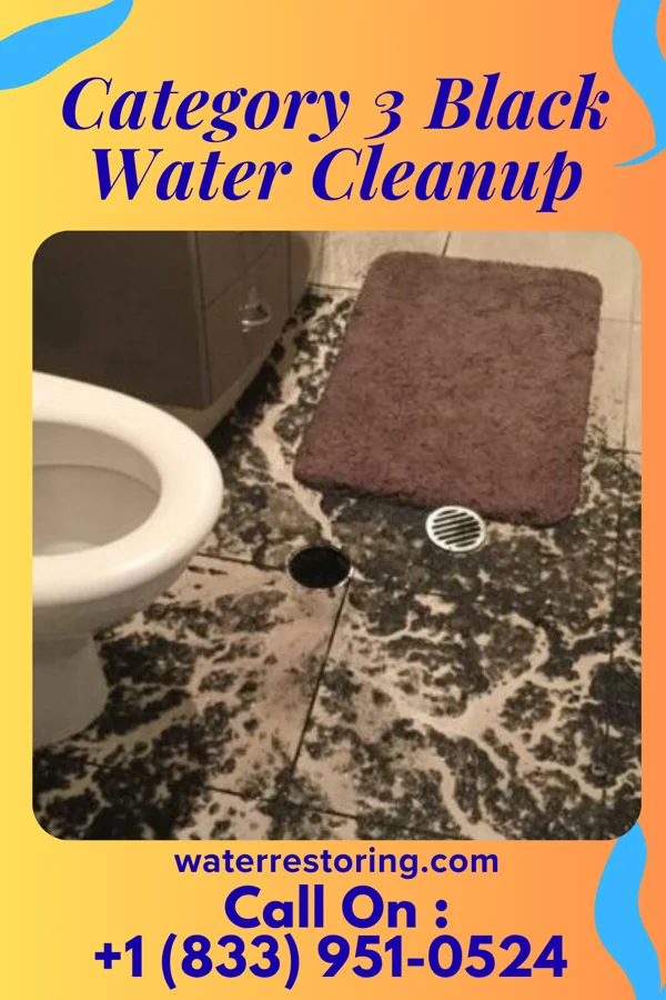 Category 3 Black Water Cleanup in Claycomo, MO