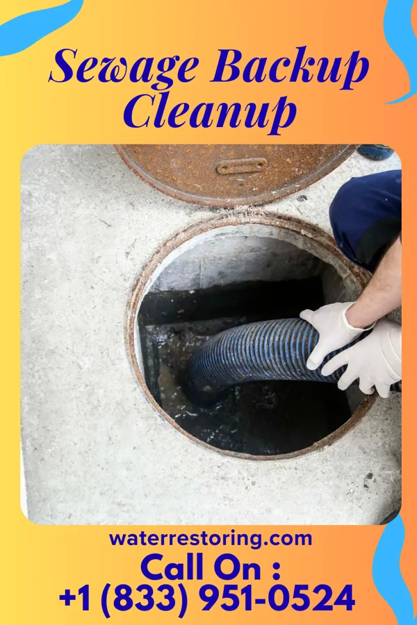 Sewage Backup Cleanup in Claycomo, MO