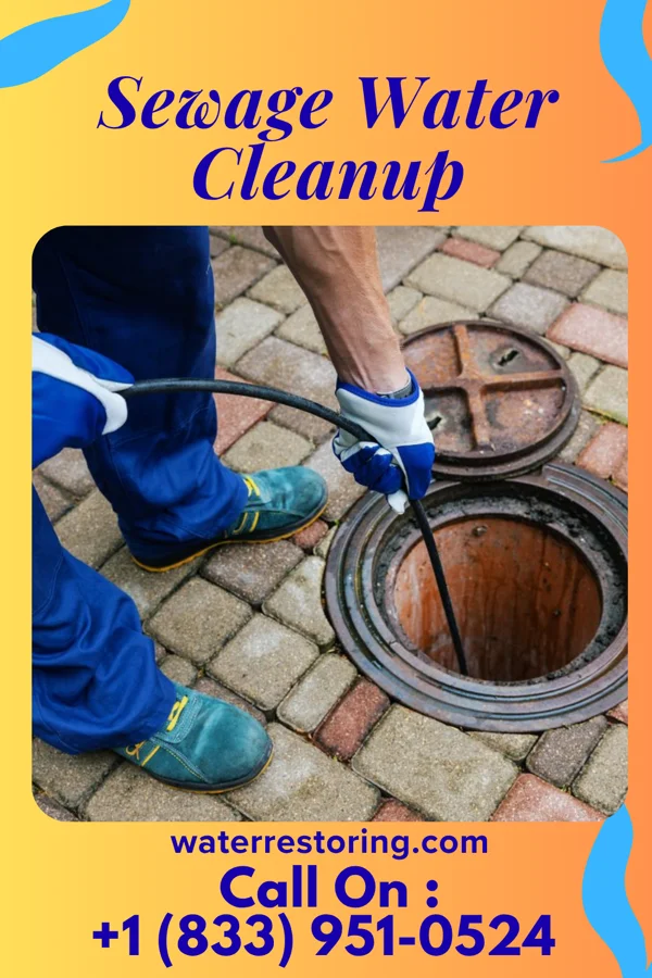 Sewage Water Cleanup in Claycomo, MO